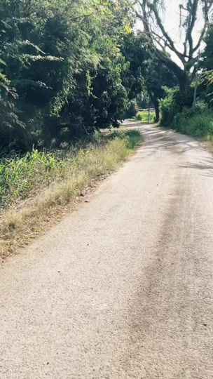 TikTok video thumbnail by stlrntbo