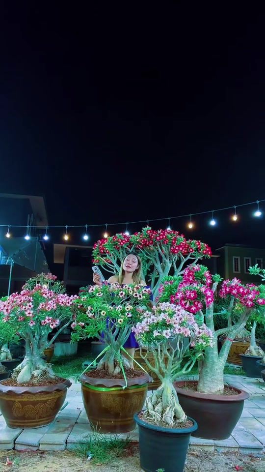 TikTok video thumbnail by oaoaoa1987