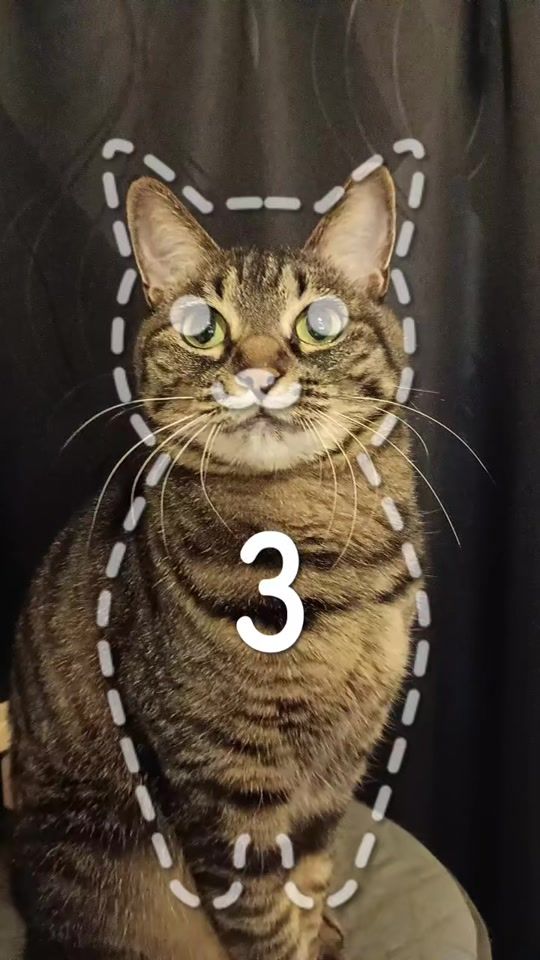 TikTok video thumbnail by hotate.meow