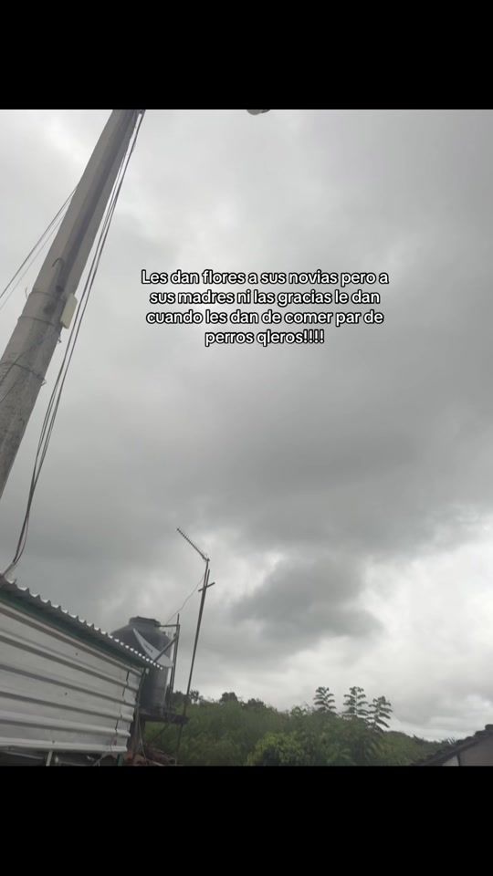 TikTok video thumbnail by clemeflow