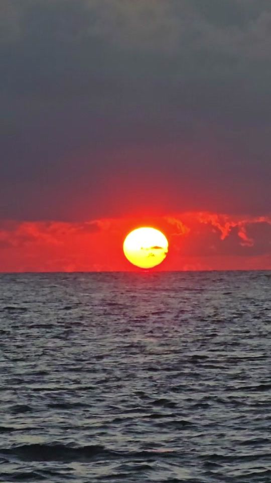 TikTok video thumbnail by fuattey10