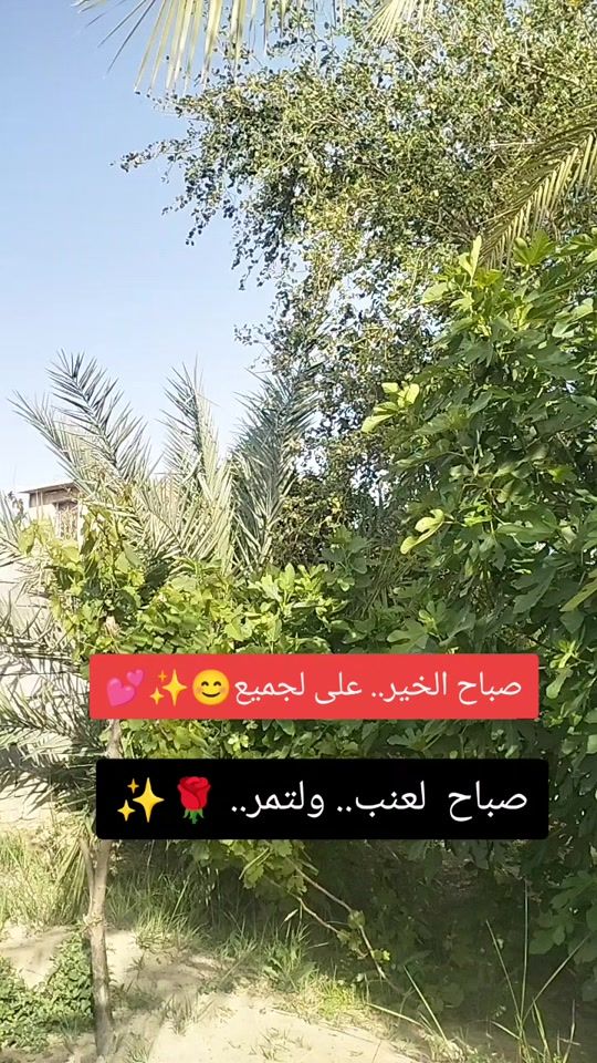 TikTok video thumbnail by sh13161