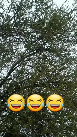 TikTok video thumbnail by sevgi_delisi49