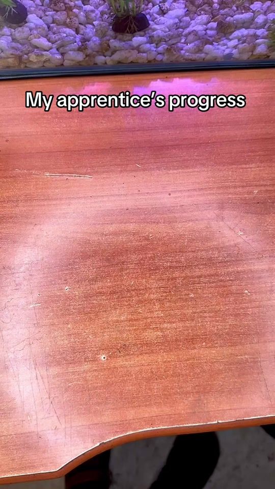 TikTok video thumbnail by crank_arts