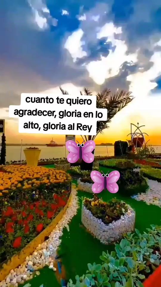 TikTok video thumbnail by katy.aleman77