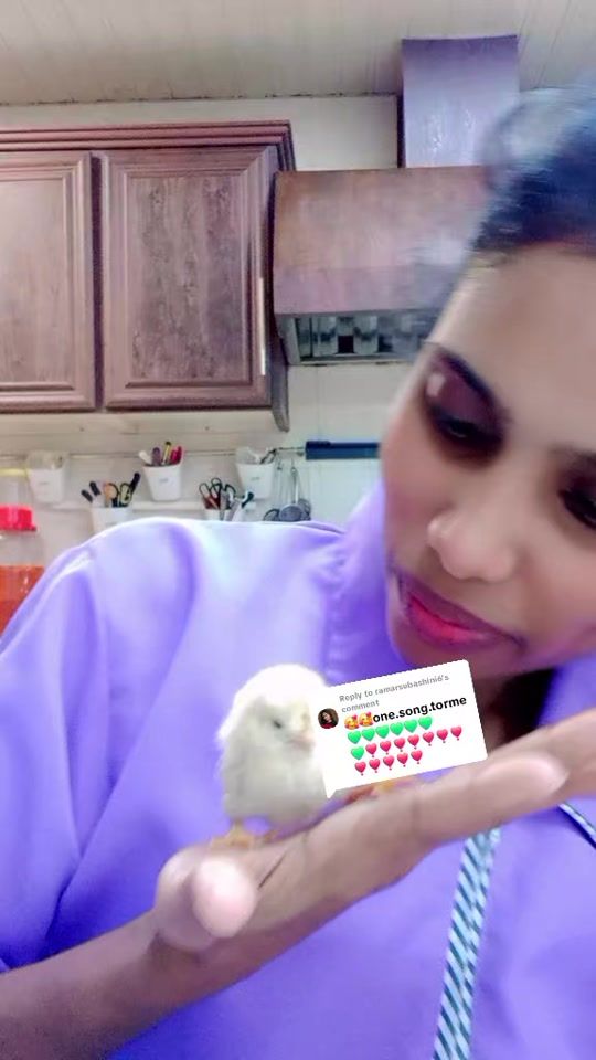 TikTok video thumbnail by cmssubha