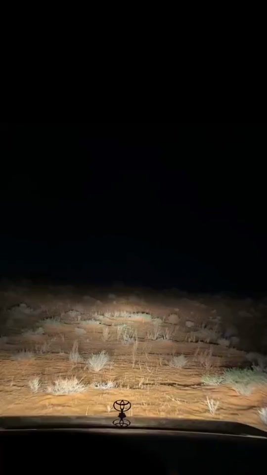 TikTok video thumbnail by y.pp