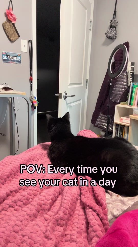 TikTok video thumbnail by jordan_harrison19