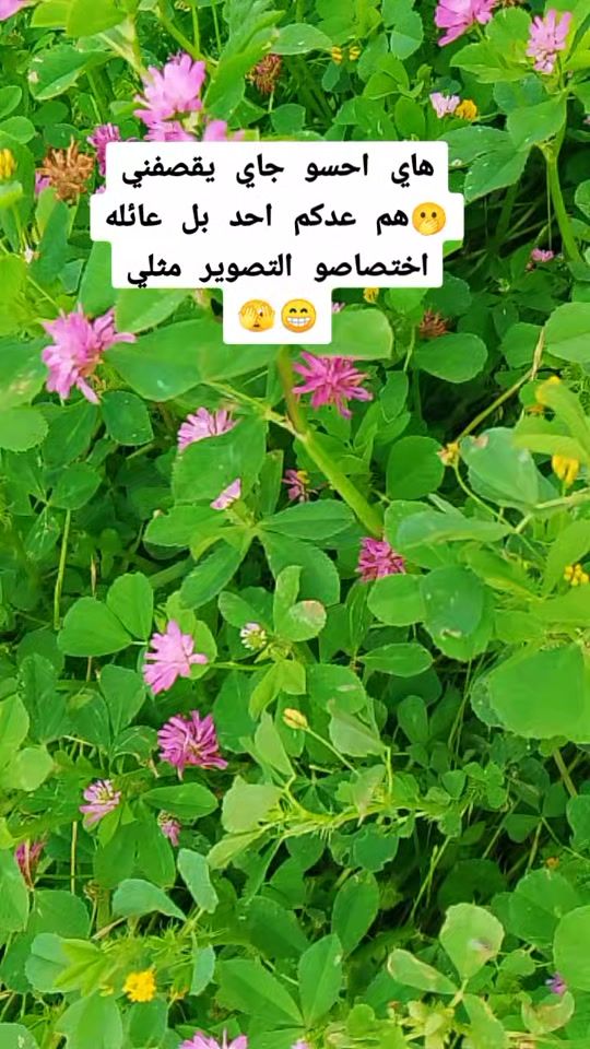 TikTok video thumbnail by 2e.2a