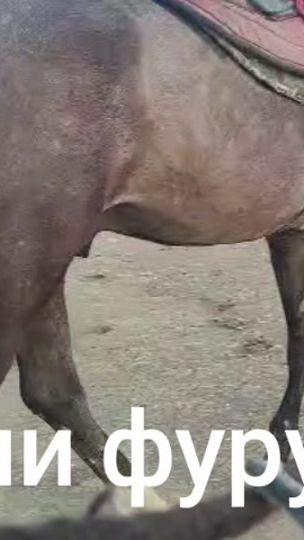 TikTok video thumbnail by aspoi.fyryshi