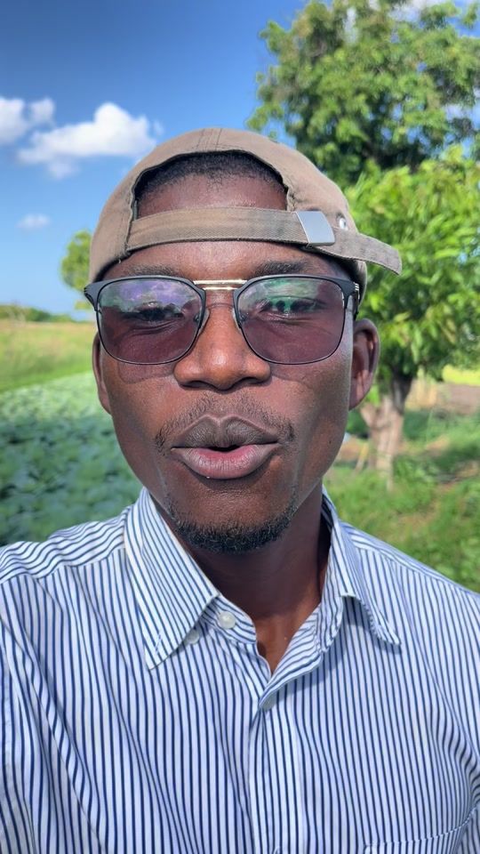 TikTok video thumbnail by mrwhate