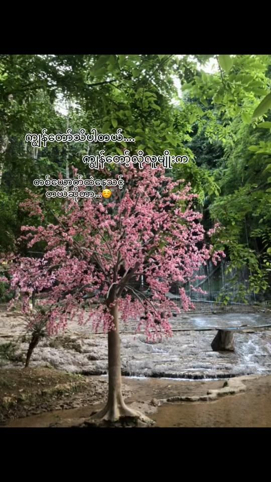 TikTok video thumbnail by boonboon507