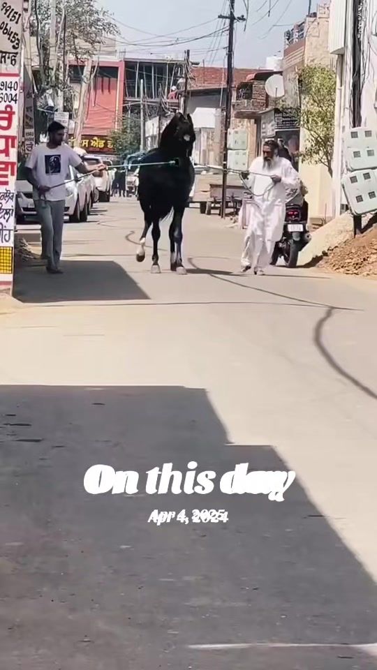TikTok video thumbnail by razakhani08