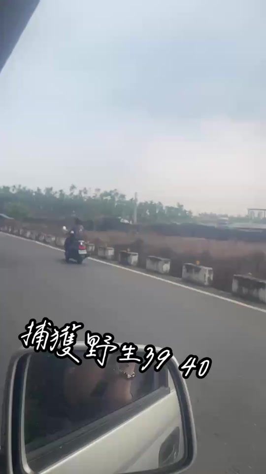 TikTok video thumbnail by h2682682