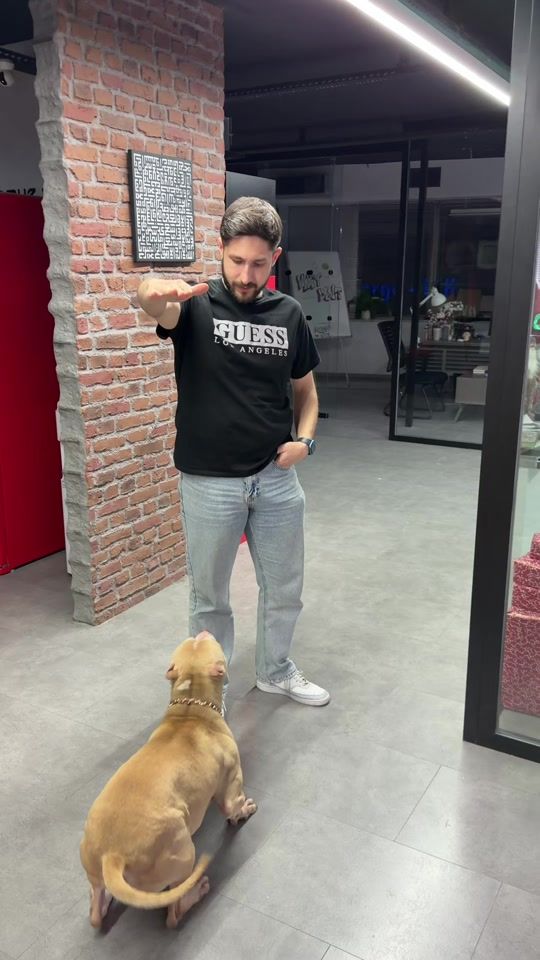 TikTok video thumbnail by kngzeuss