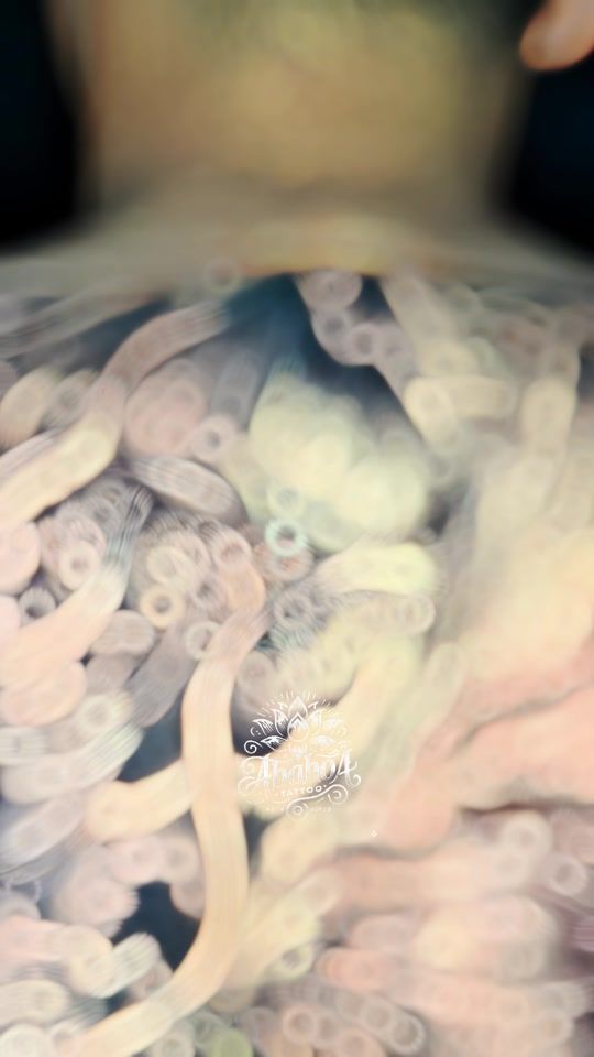 TikTok video thumbnail by abahoa.tattoo.th