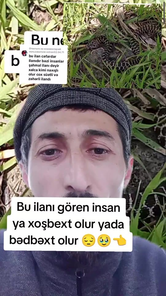 TikTok video thumbnail by nikorazin8