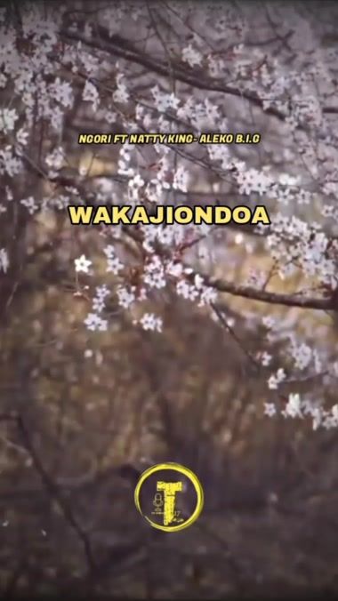 TikTok video thumbnail by tre.nch_17