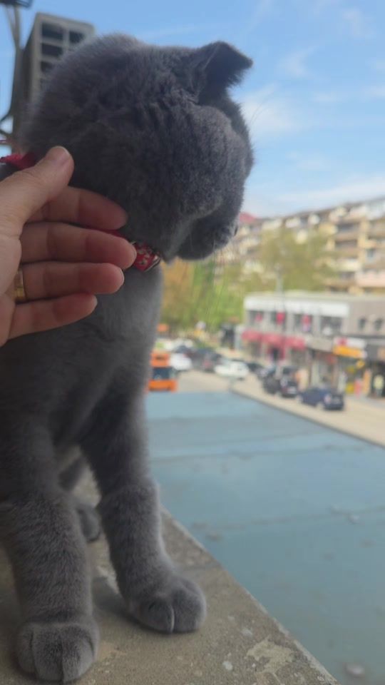 TikTok video thumbnail by by.lala_s