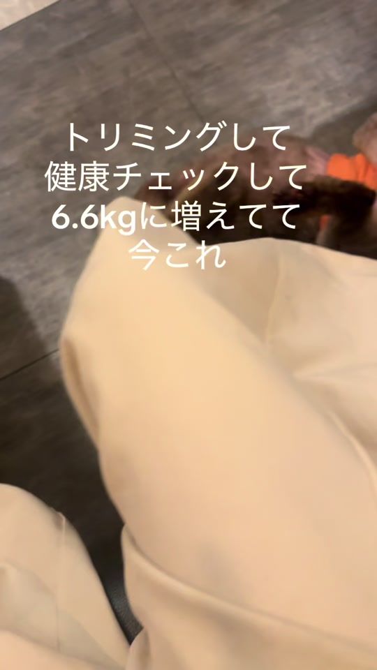 TikTok video thumbnail by ayanan1201