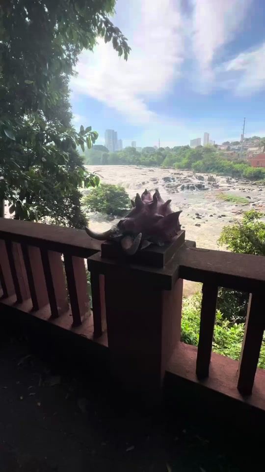 TikTok video thumbnail by drpirotoker