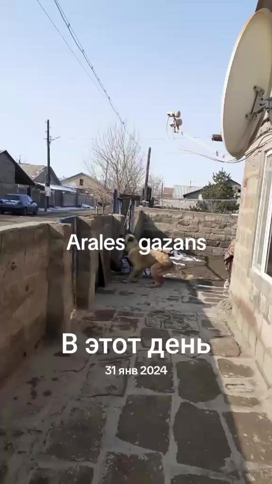 TikTok video thumbnail by ashot19930