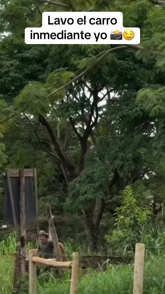 TikTok video thumbnail by sofiavillalobos0