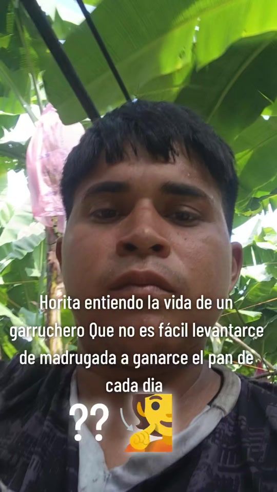 TikTok video thumbnail by .jota_r