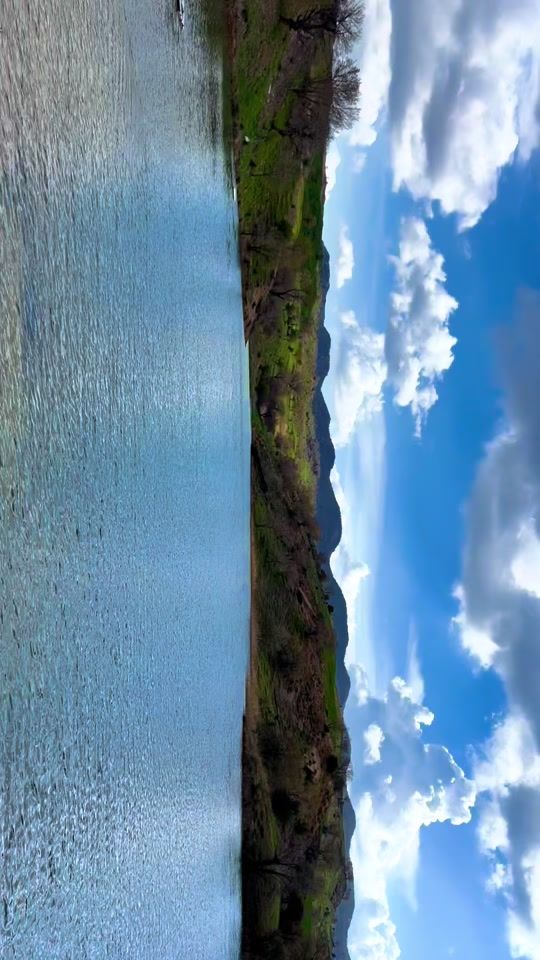 TikTok video thumbnail by z_nature