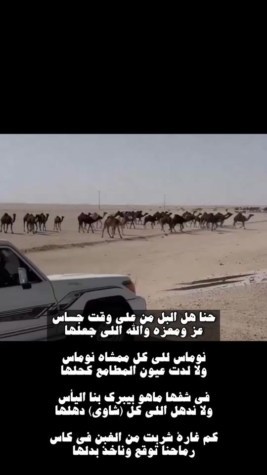TikTok video thumbnail by i6dd