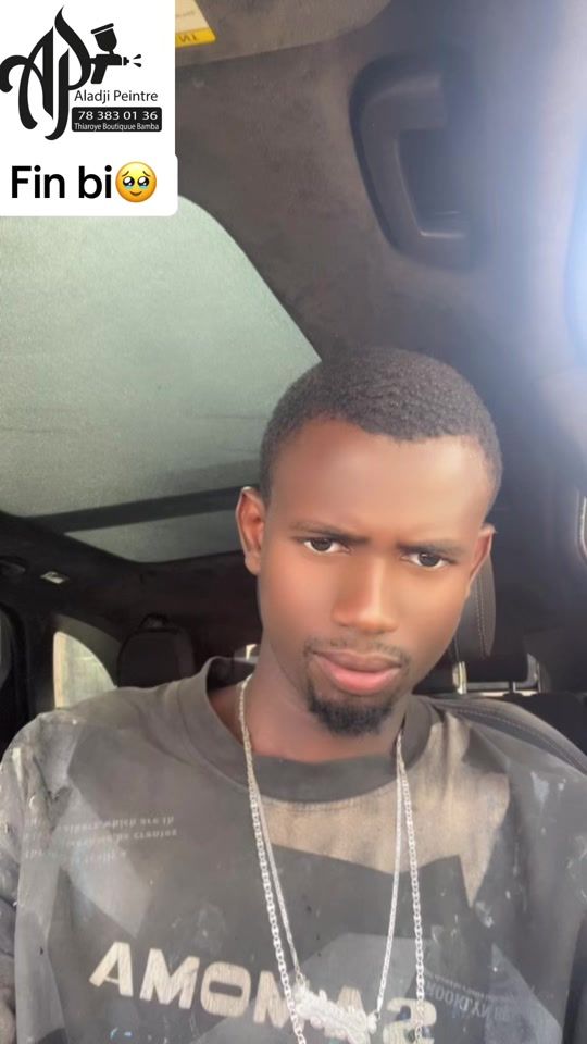 TikTok video thumbnail by aladji.peintre