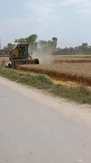 TikTok video thumbnail by _tarrar