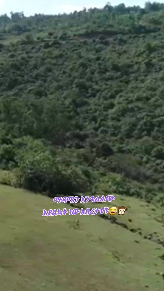 TikTok video thumbnail by mastewal_53