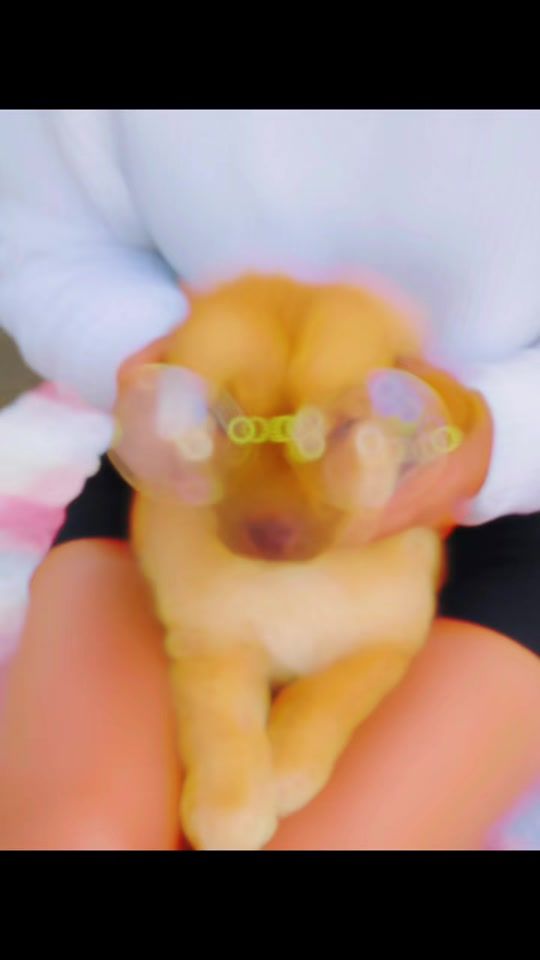 TikTok video thumbnail by ashna0229
