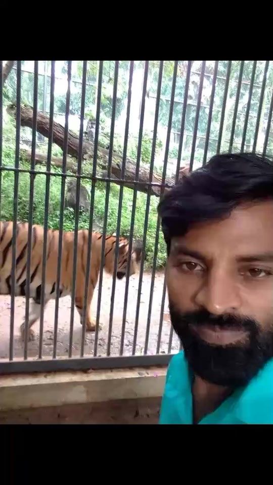 TikTok video thumbnail by prathap.prathap226