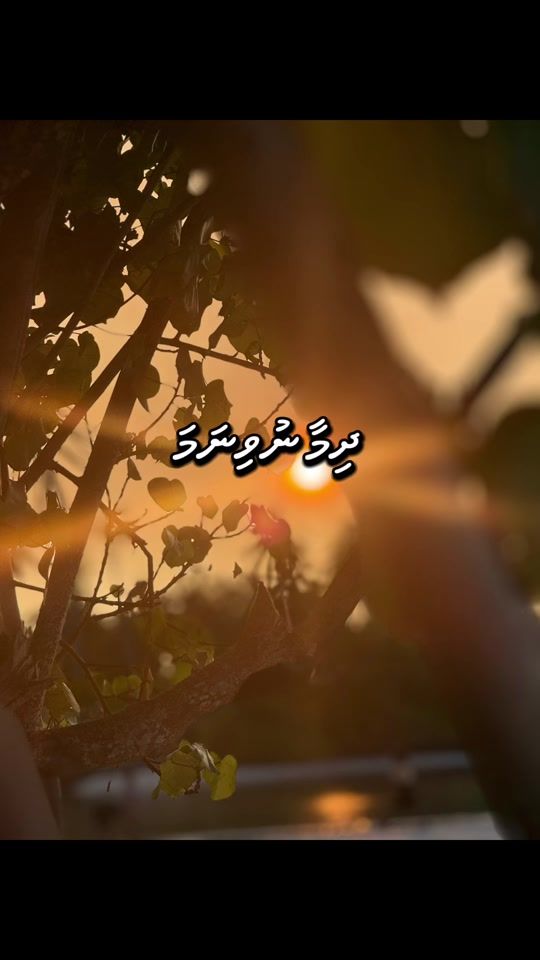 TikTok video thumbnail by kandhikamanaa2