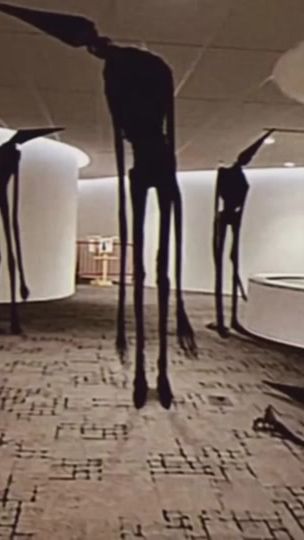 TikTok video thumbnail by thelastroom