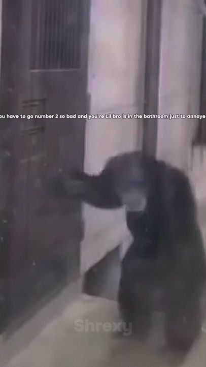 TikTok video thumbnail by crazy.edit992