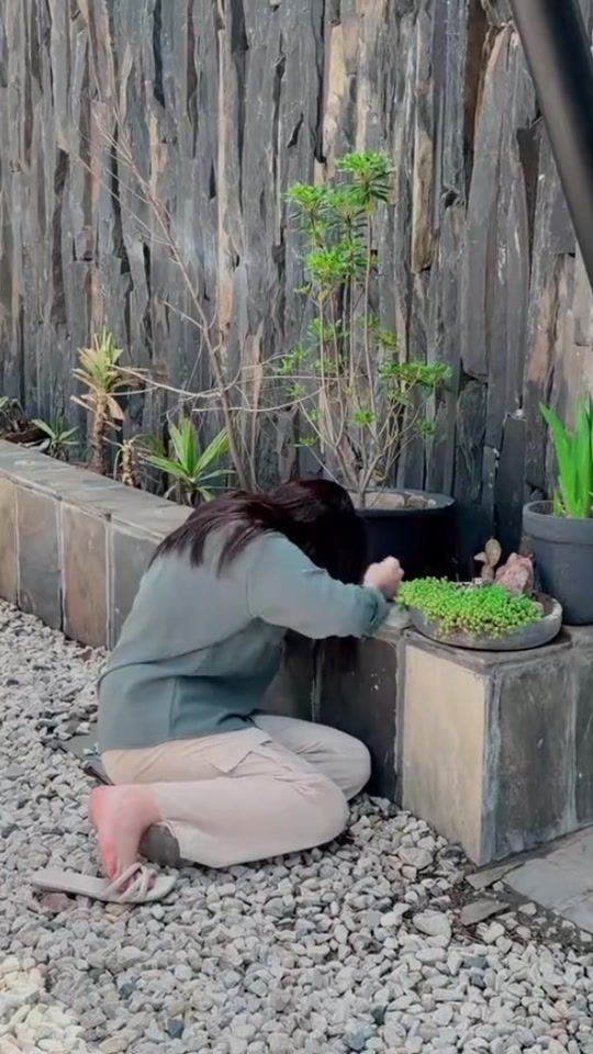 TikTok video thumbnail by saraktk.80443