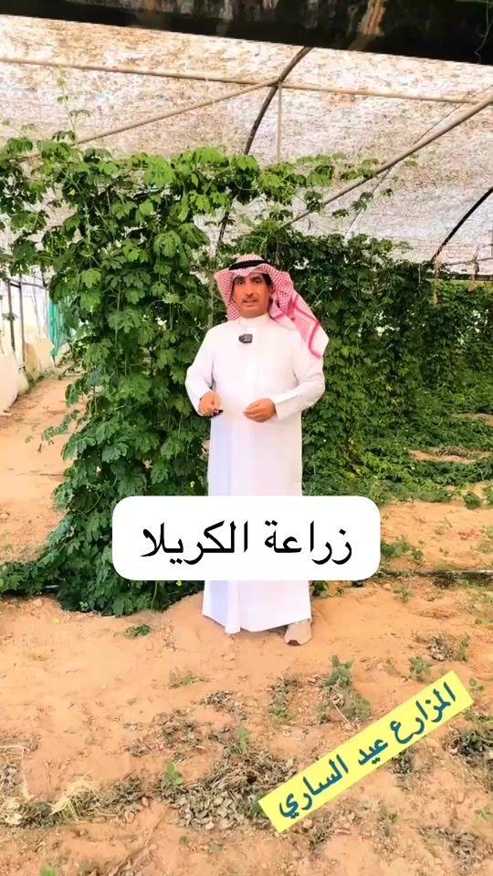TikTok video thumbnail by eid_alsari