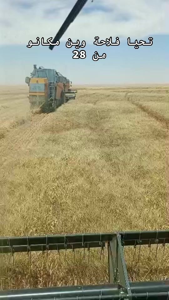 TikTok video thumbnail by choayblamara460