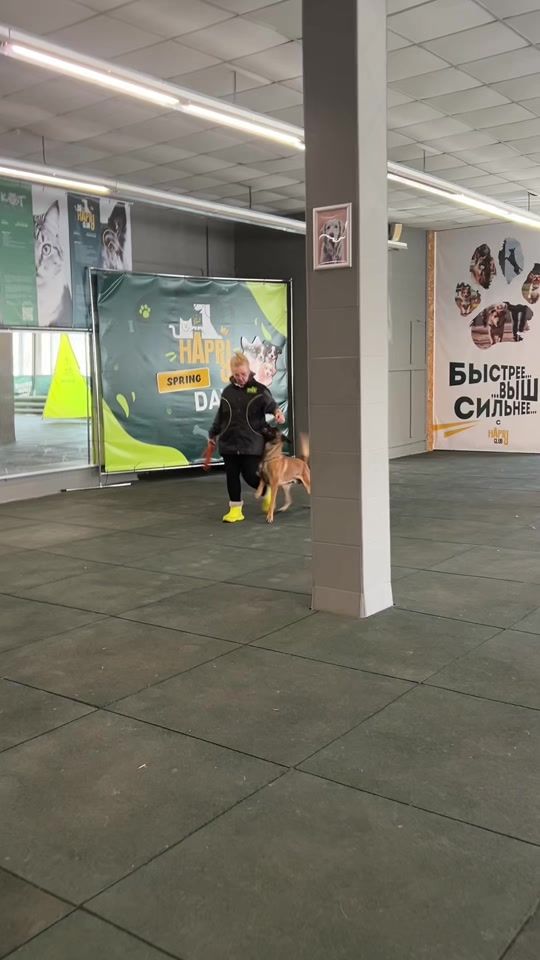 TikTok video thumbnail by k9_belka