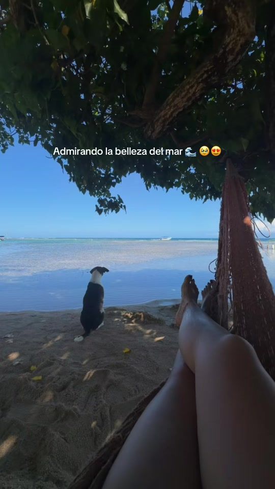 TikTok video thumbnail by lary23._