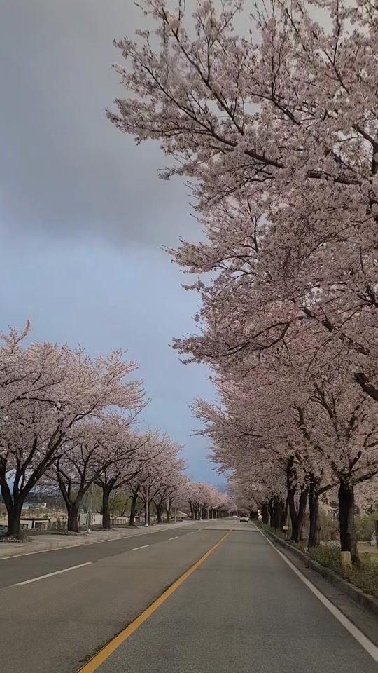 TikTok video thumbnail by user126144776