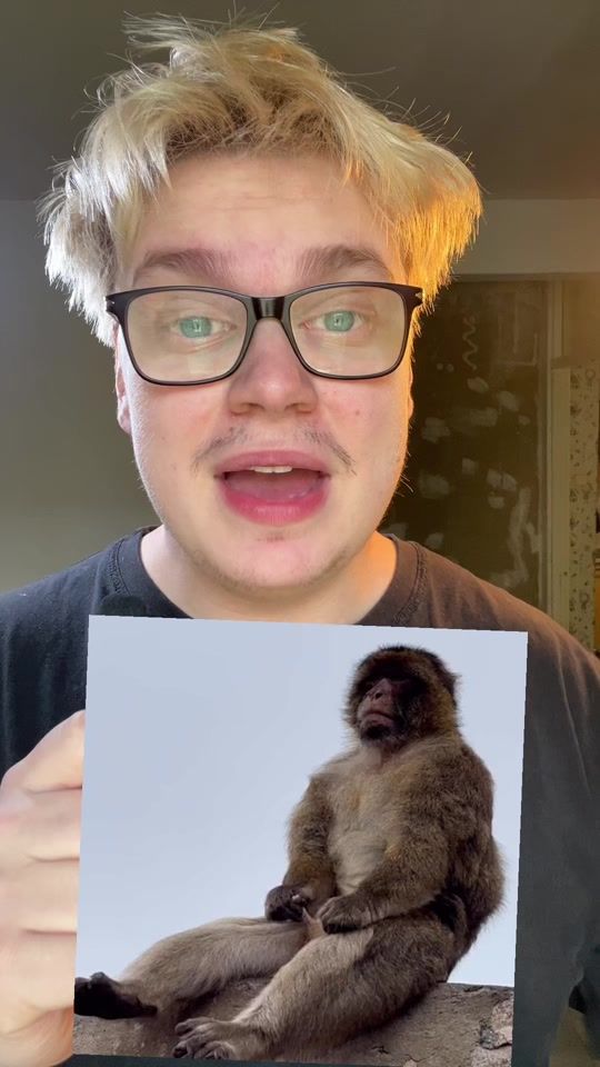 TikTok video thumbnail by tryssov