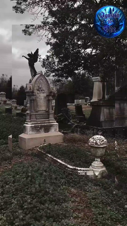TikTok video thumbnail by factos_901