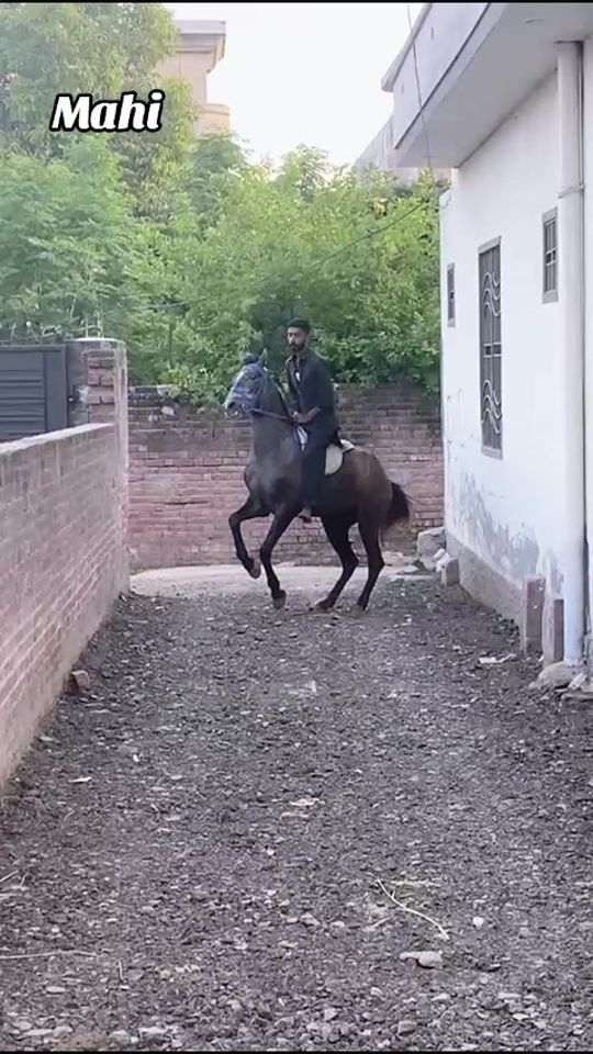 TikTok video thumbnail by hukamjutt5