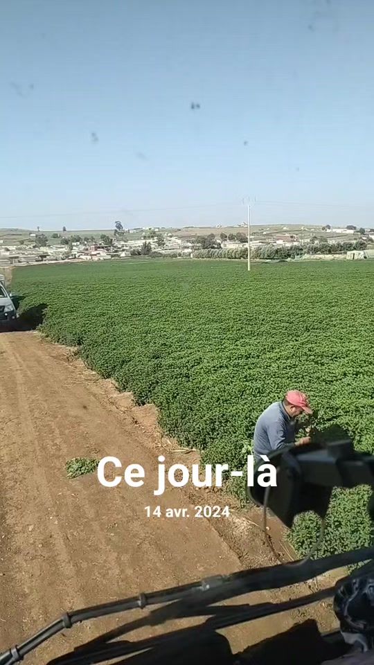 TikTok video thumbnail by hakima.380