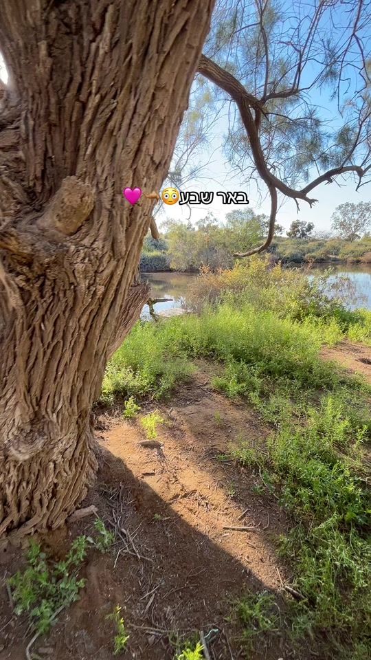 TikTok video thumbnail by mazaltahar