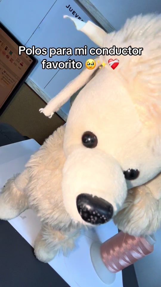 TikTok video thumbnail by lebans.peru